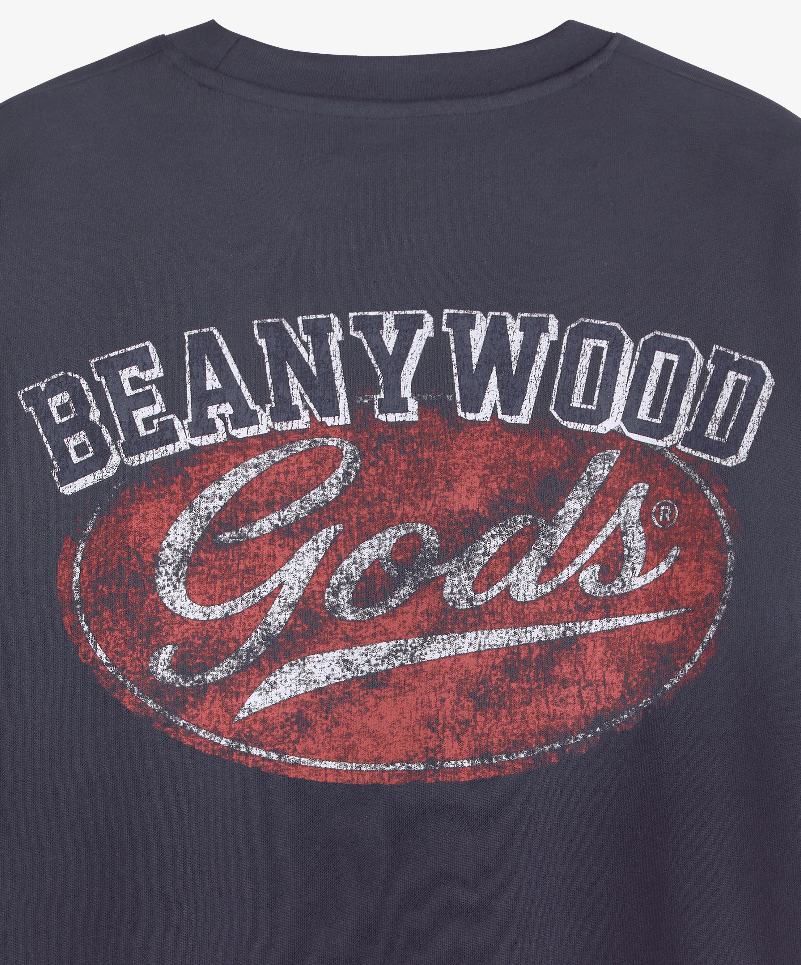 Imagen del producto 7